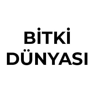 Bitki Dünyası